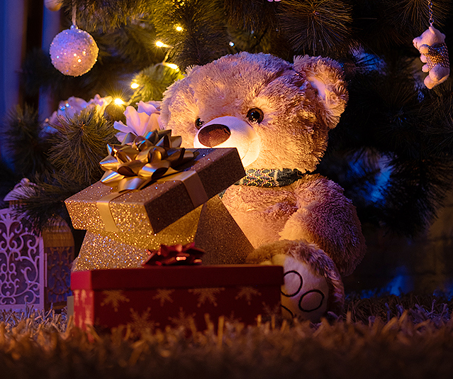 Holiday Bonus Image