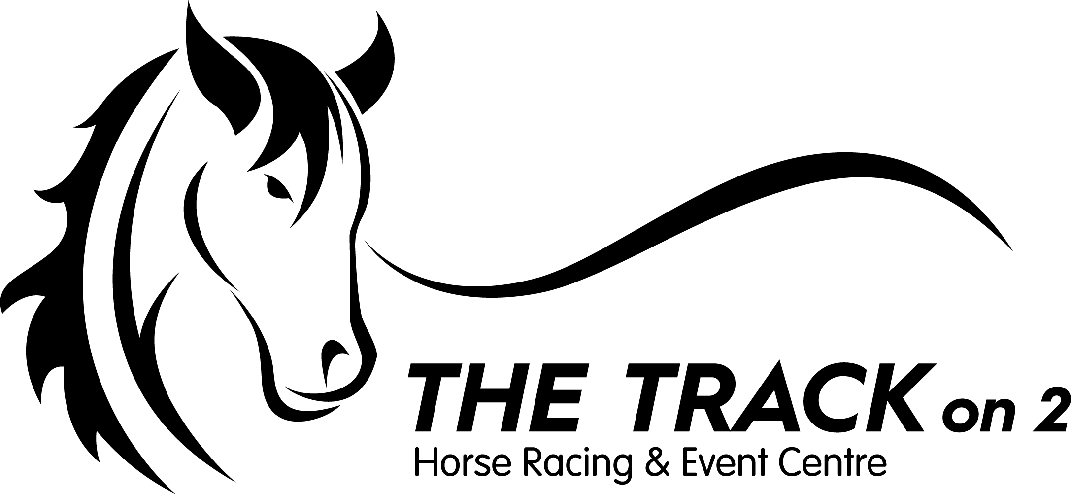 The Track on 2 Logo