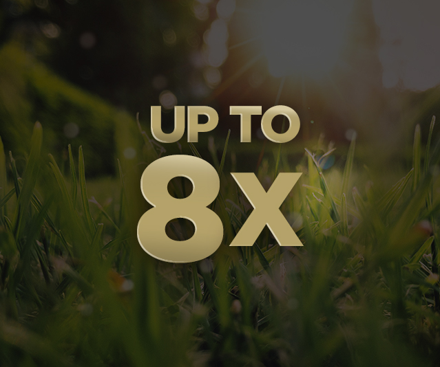 Up to 8X in the middle of blurry sunny field background