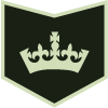 Black and Green polygon icon with a crown in the middle