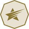 WE star in the middle of a gold polygon