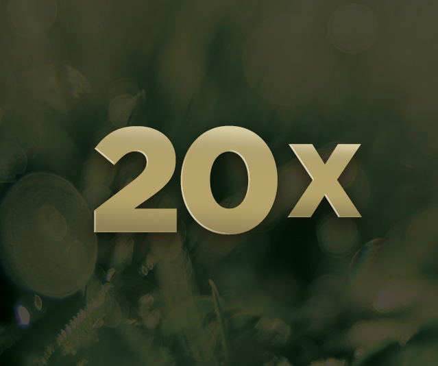 Blurred background image of green plants growing with '20x' in gold block text in the middle  