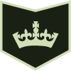  Light green crown in the middle of a dark green polygon