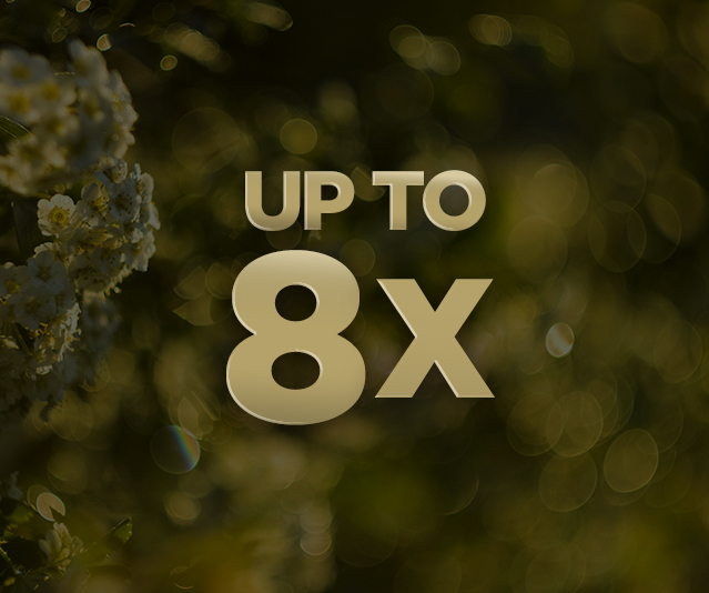 “Up To 8X” in the middle with flowers in the background with a darkened overlay