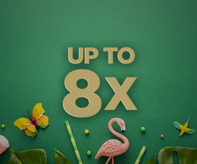 'Up to 8x' in the middle of a green background with plants, flamingo and butterfly