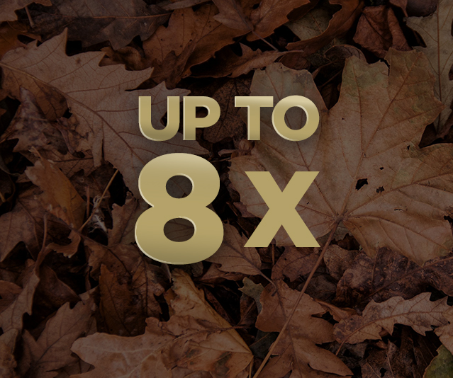 up to 8x on top of an image of fall leaves