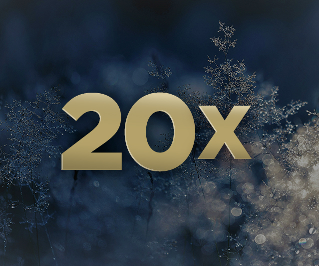 20x in the middle of a snowy tree background