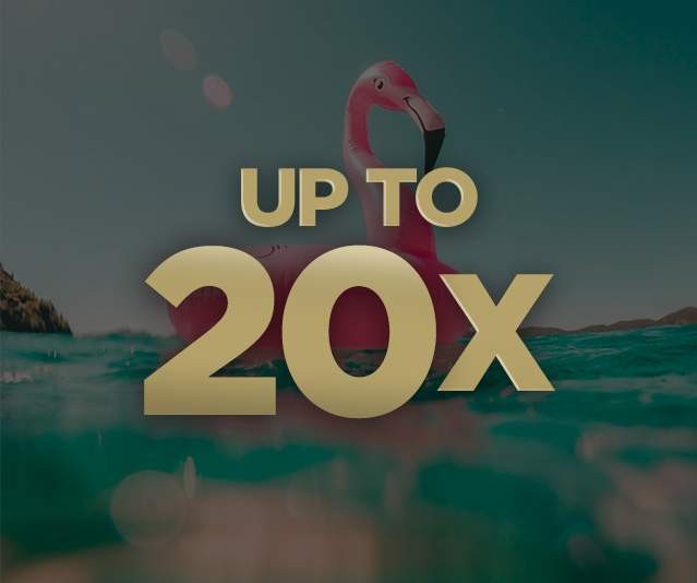  ‘Up to 20X’ in the middle with a pink inflatable flamingo floating on turquoise water under a clear sky in the background